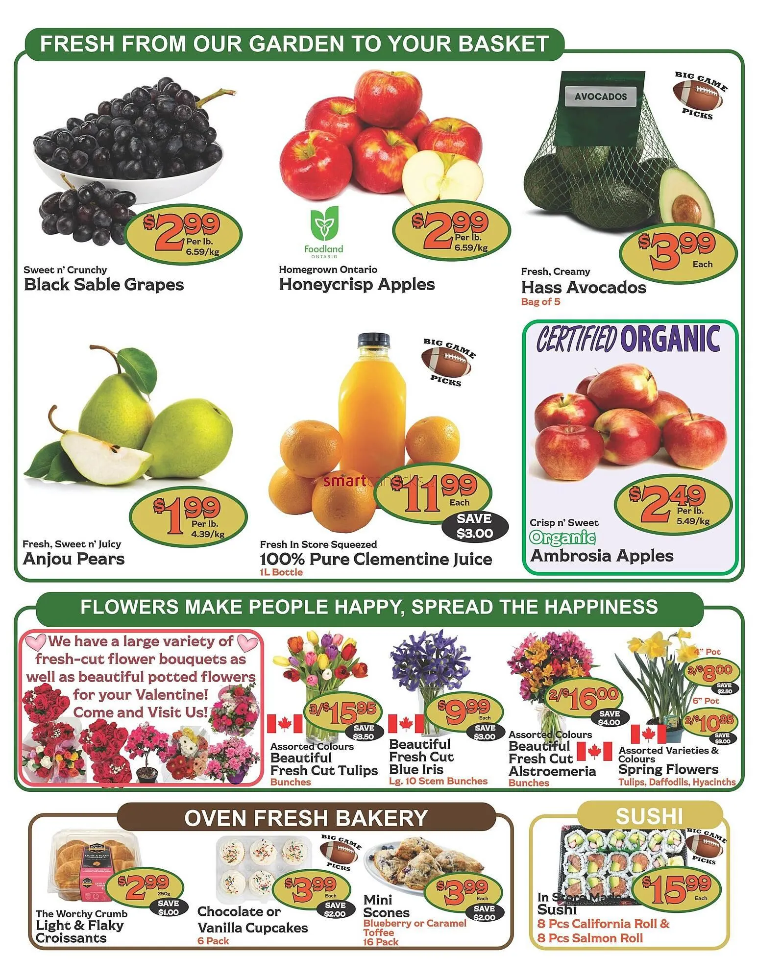 The Garden Basket flyer from February 5 to February 11 2026 - flyer page 2