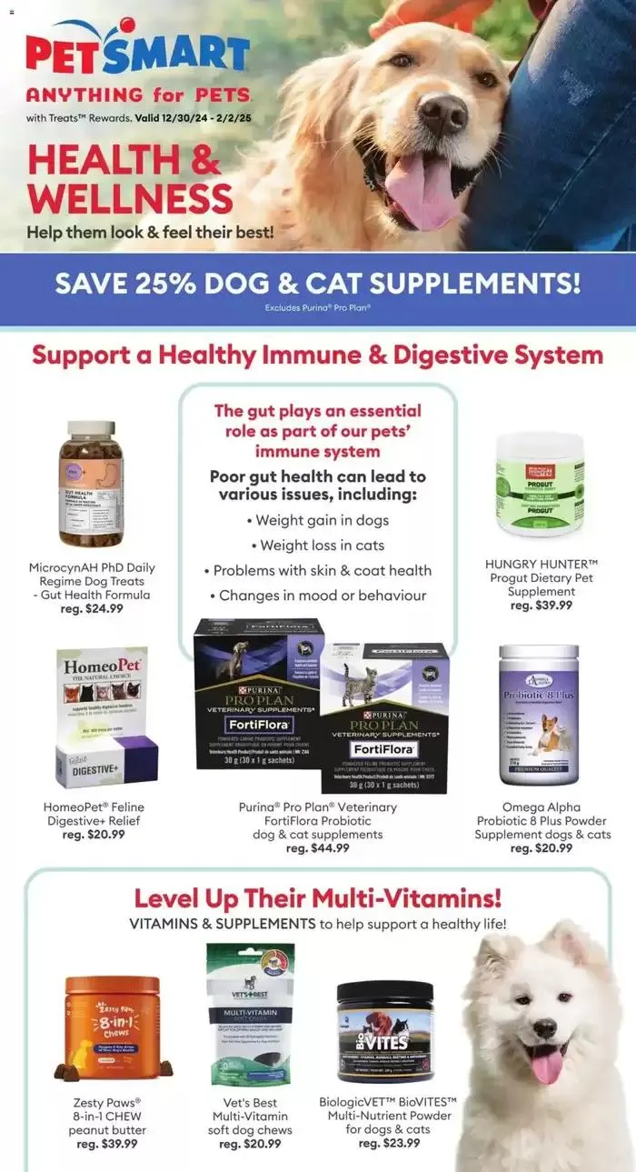 Attractive special offers for everyone from December 30 to February 2 2025 - flyer page 1