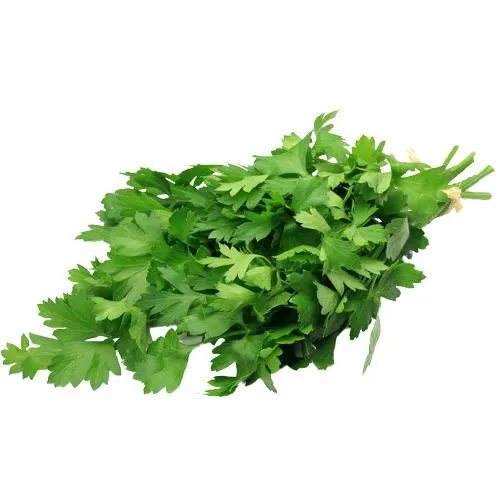 Italian Parsley