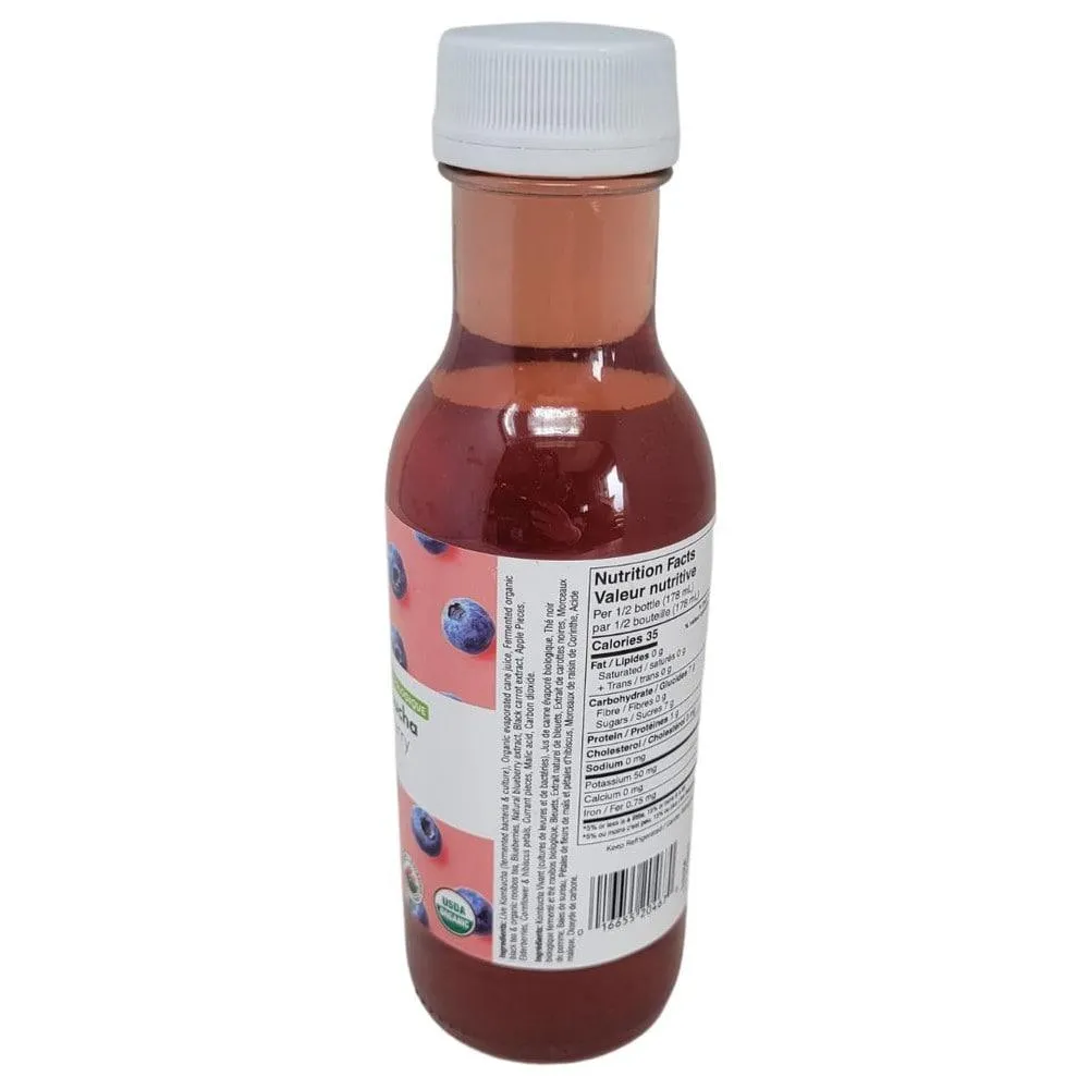 Always Organic Kombucha Blueberry Org 355 ml