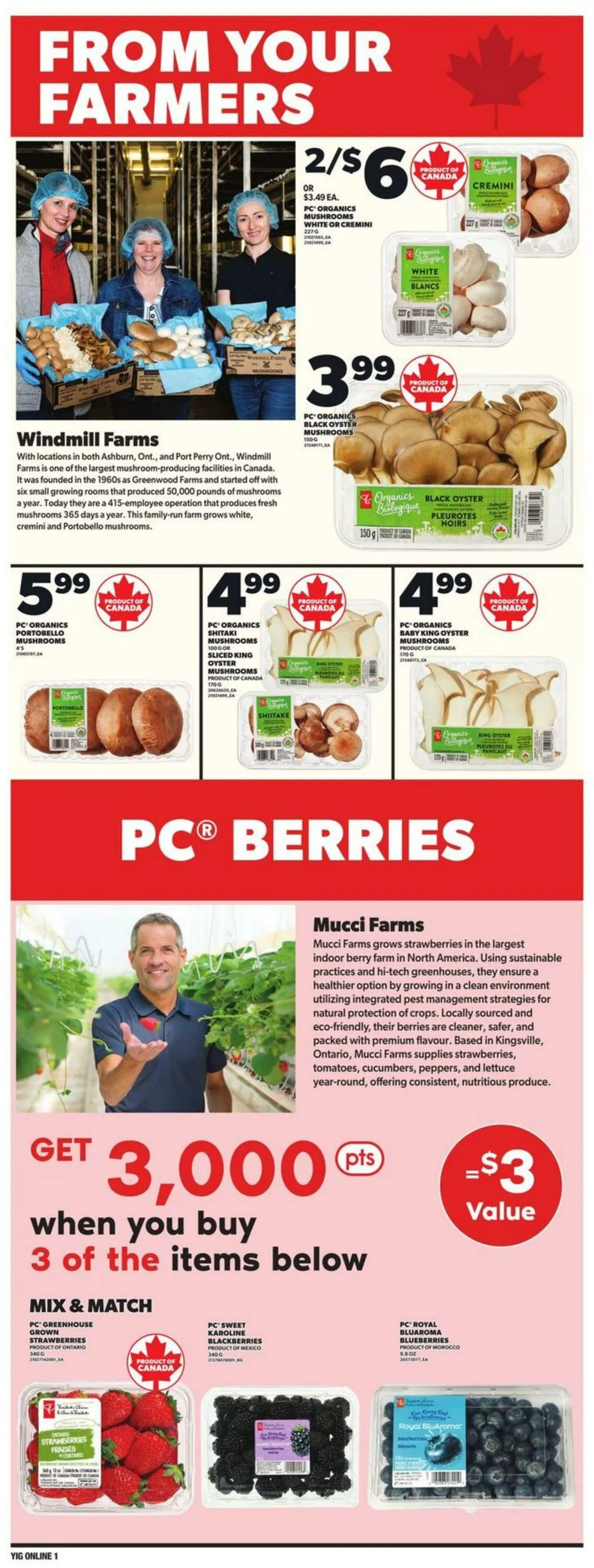 Independent Current flyer from March 27 to April 2 2025 - flyer page 9