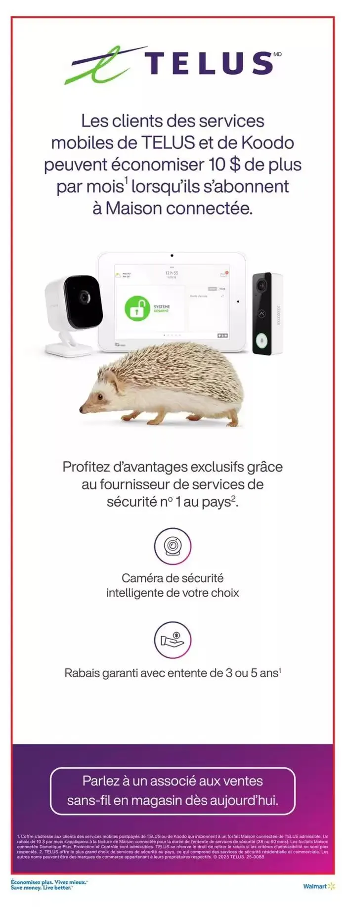 Our best deals for you from March 13 to March 20 2025 - flyer page 19