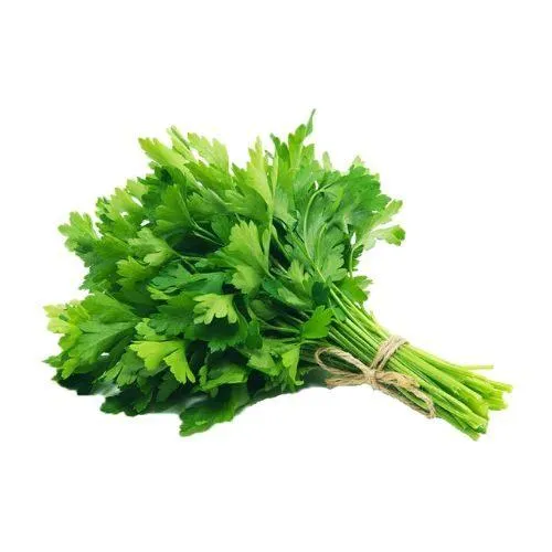 Plain Parsley