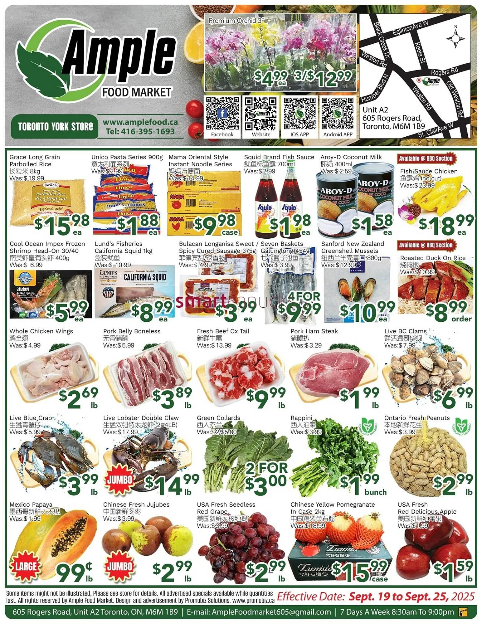 Ample Food Market flyer from September 19 to September 25 2025 - flyer page 1