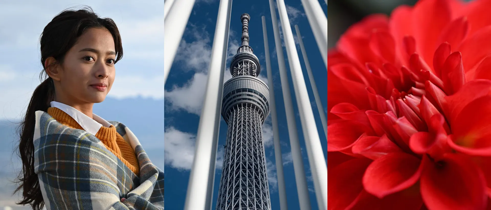 NIKKOR Z 24-105mm f/4-7.1