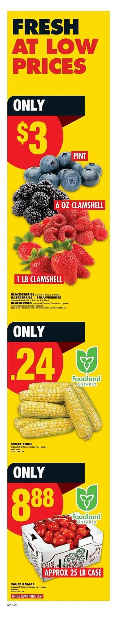 No Frills flyer from August 28 to September 3 2025 - flyer page 3