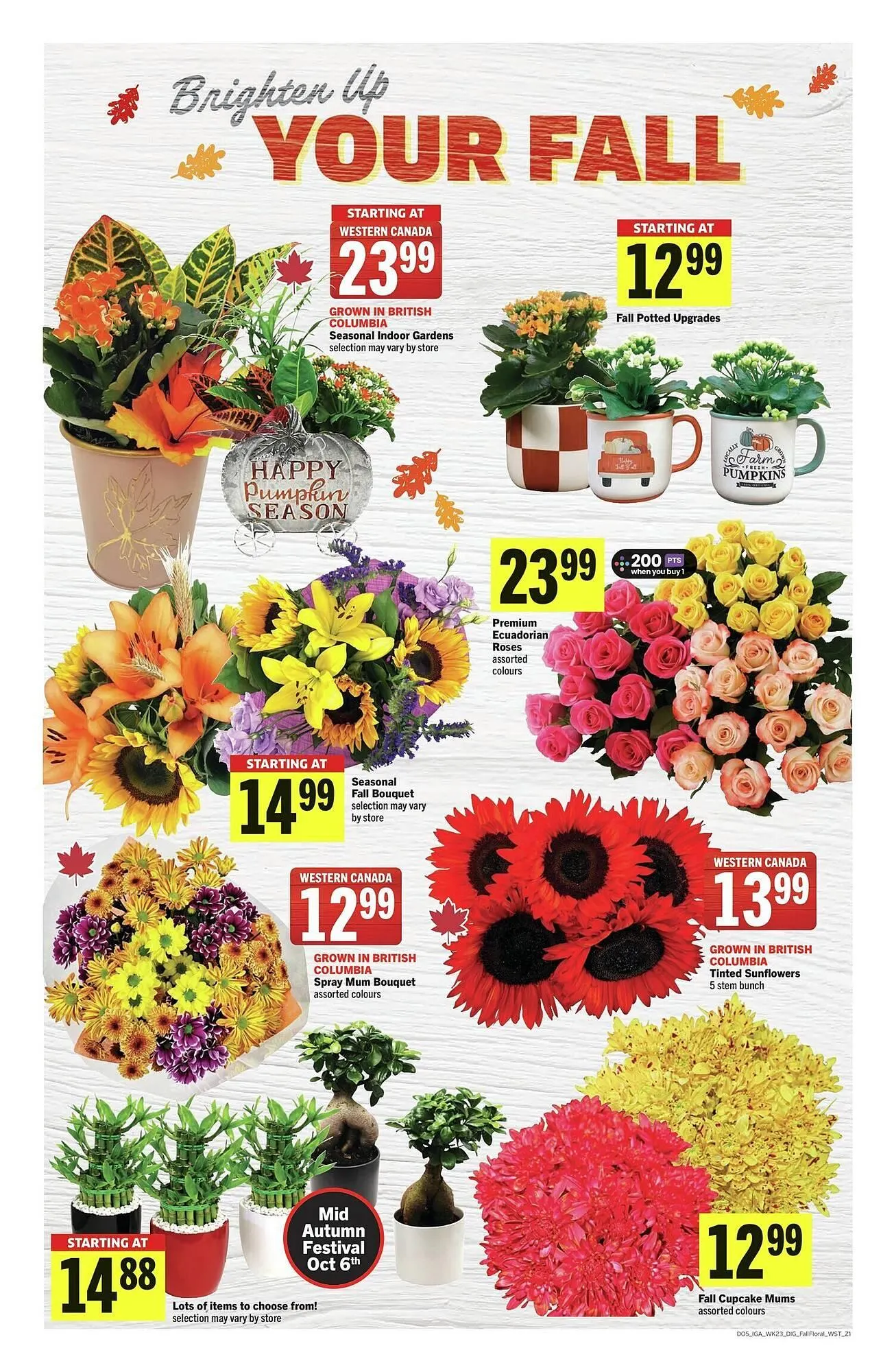 IGA flyer from October 2 to October 9 2025 - flyer page 12