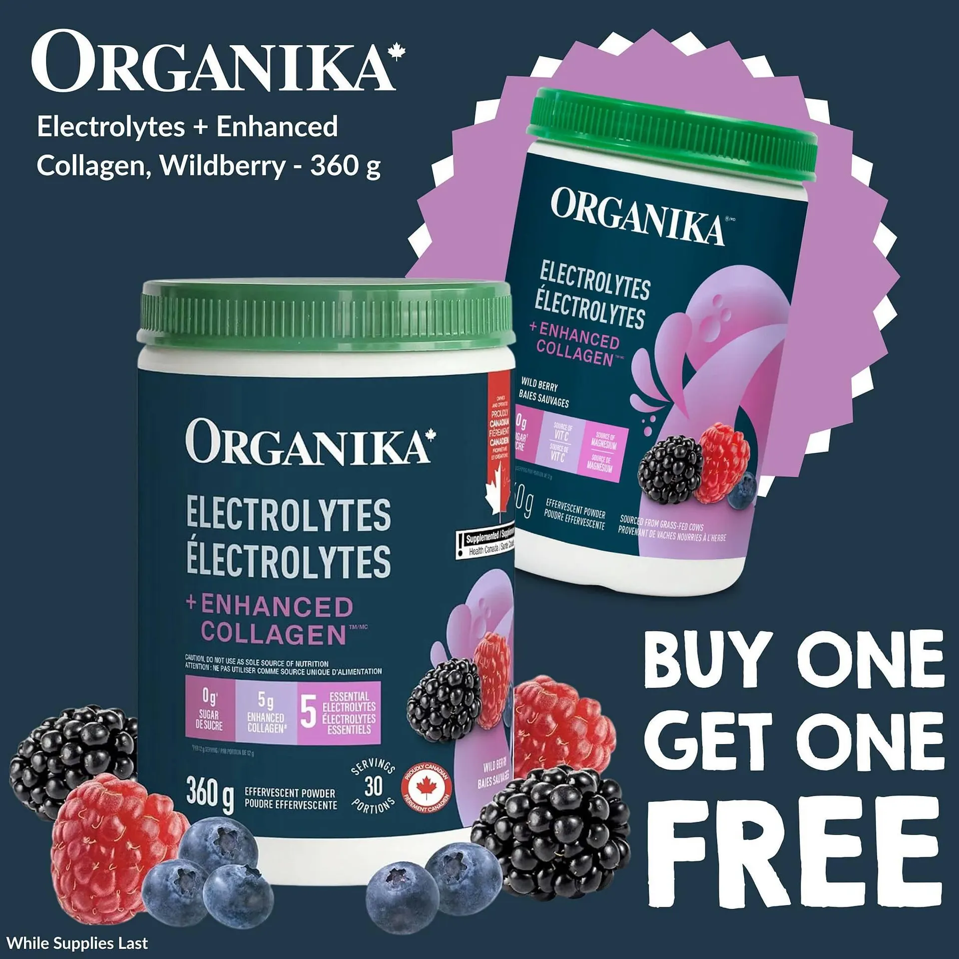 Goodness Me flyer from December 17 to January 6 2026 - flyer page 18