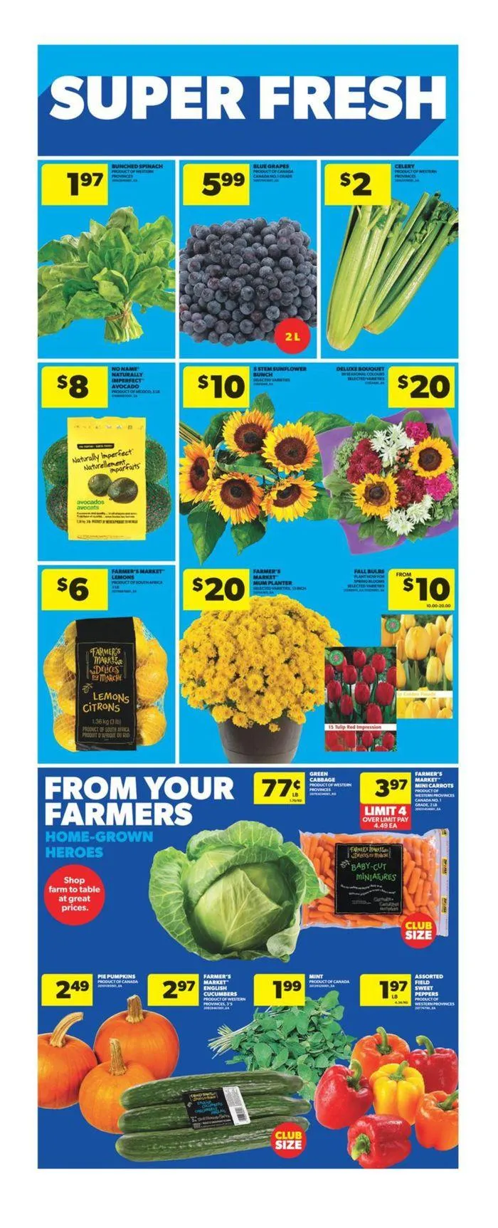 Top offers for all bargain hunters from September 12 to September 18 2024 - flyer page 12