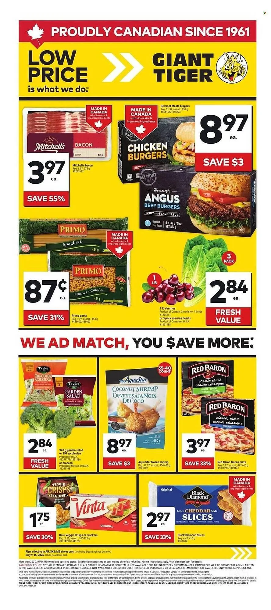 Giant Tiger flyer from July 9 to July 15 2025 - flyer page 1