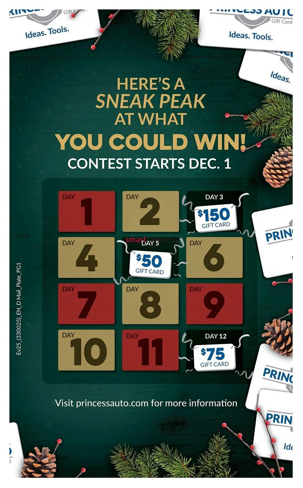 Princess Auto flyer from November 27 to December 2 2025 - flyer page 5