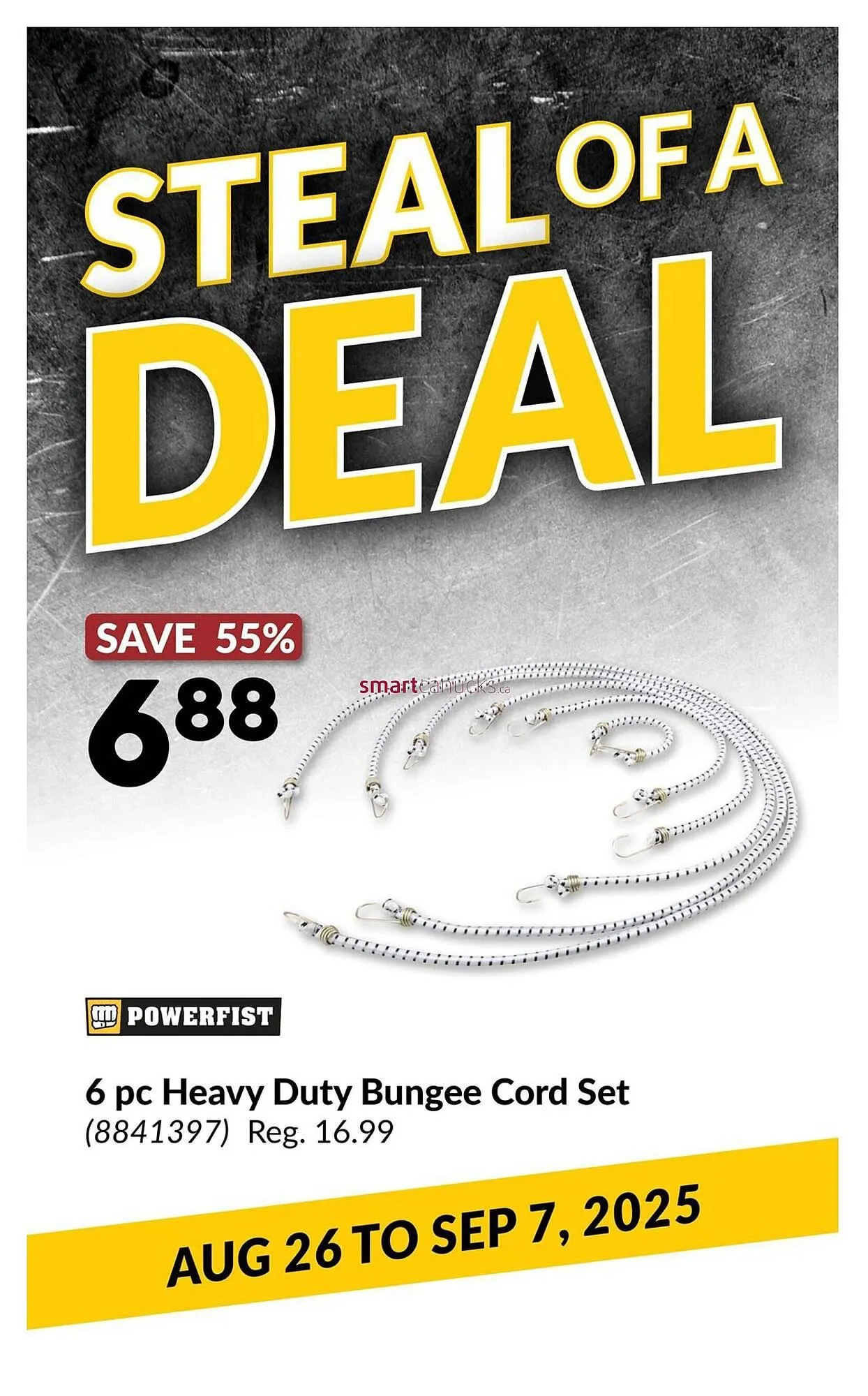 Princess Auto flyer from September 18 to September 24 2025 - flyer page 110