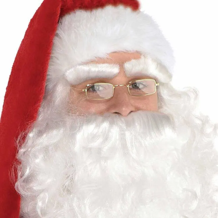 Santa Adult Classic Glasses Multicoloured 11.5 x 2.5 cm