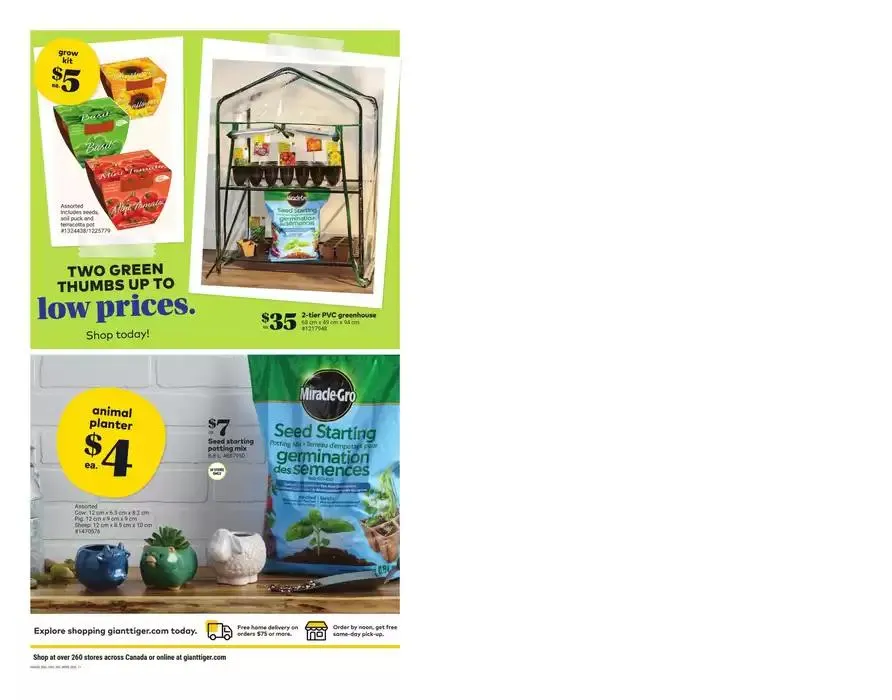 Discounts and promotions from January 29 to February 4 2025 - flyer page 11