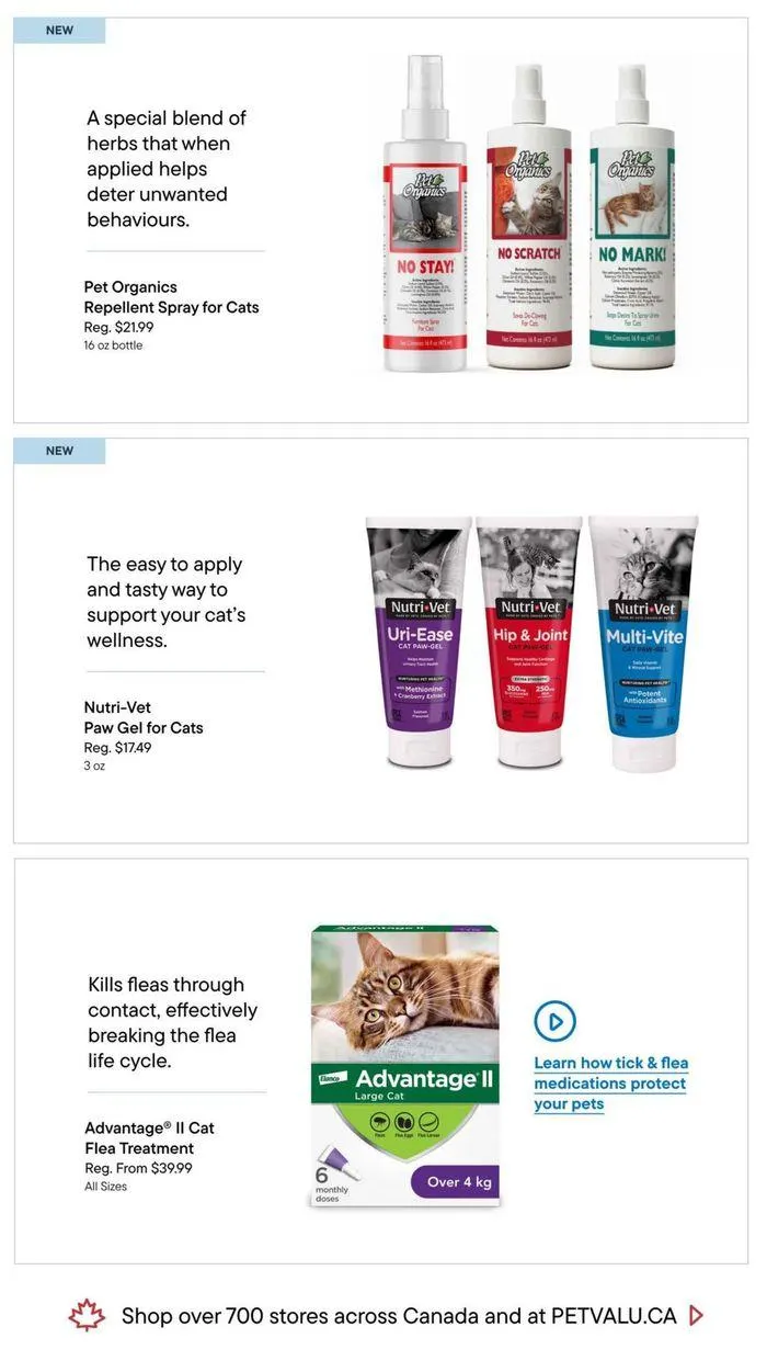 Anniversary Sale from September 23 to October 2 2024 - flyer page 23