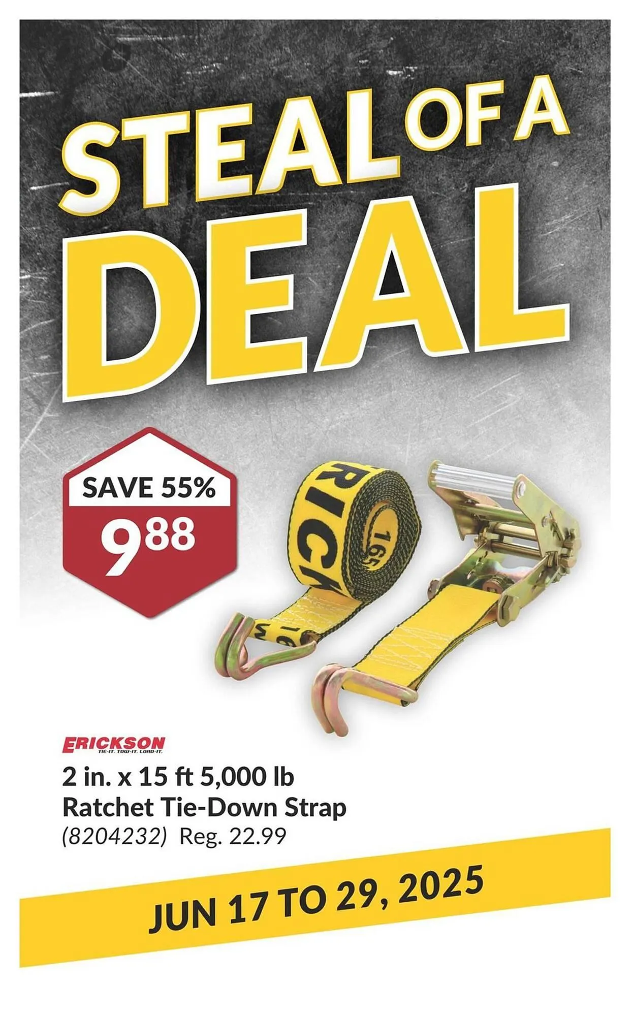 Princess Auto flyer from June 17 to June 29 2025 - flyer page 95