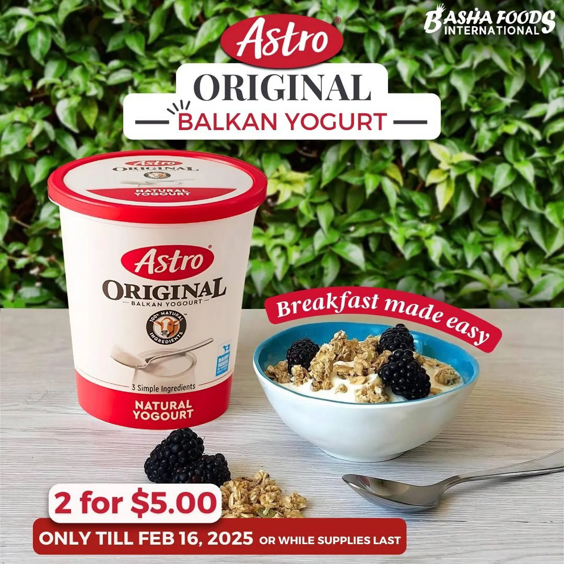 Basha Foods flyer from February 14 to February 20 2025 - flyer page 8