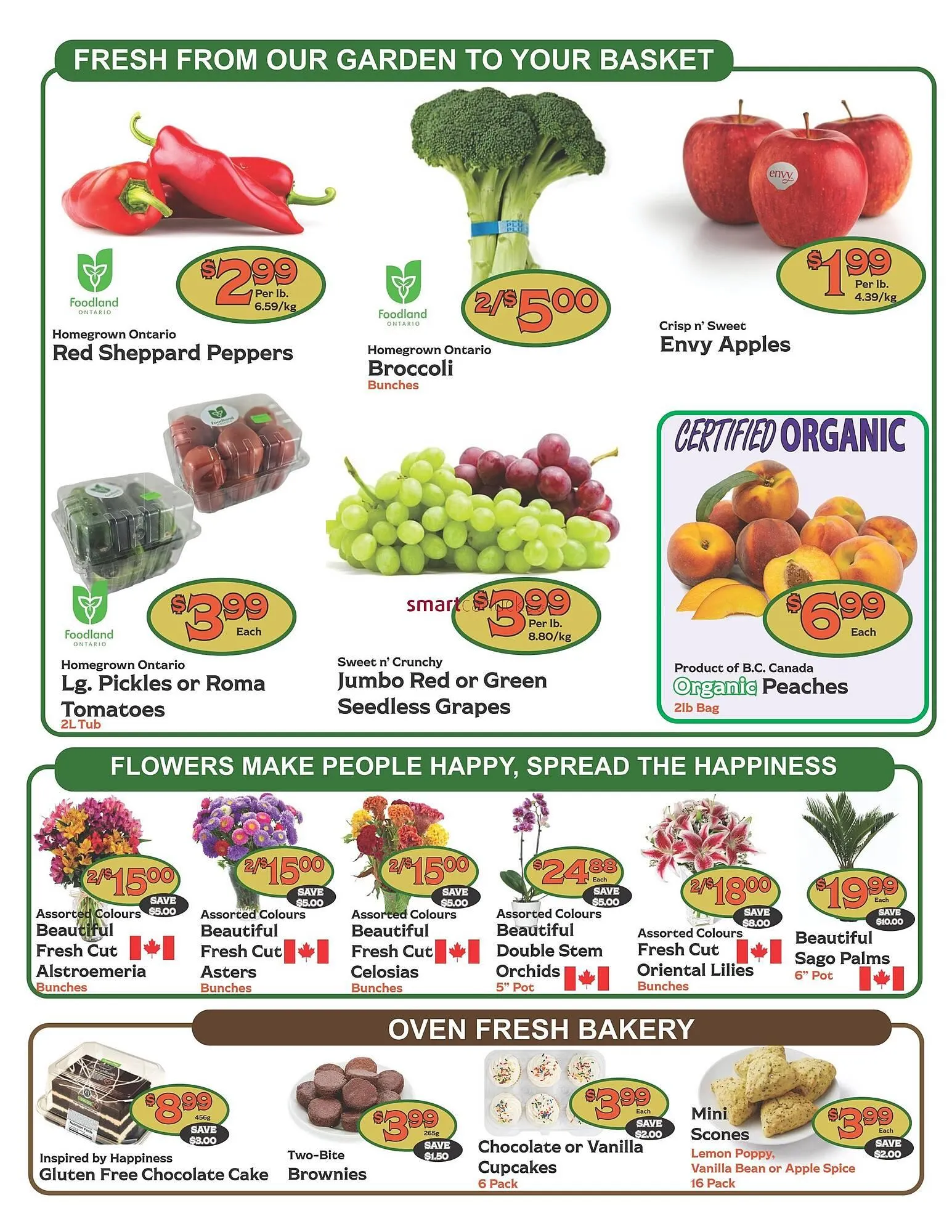 The Garden Basket flyer from August 21 to August 27 2025 - flyer page 2