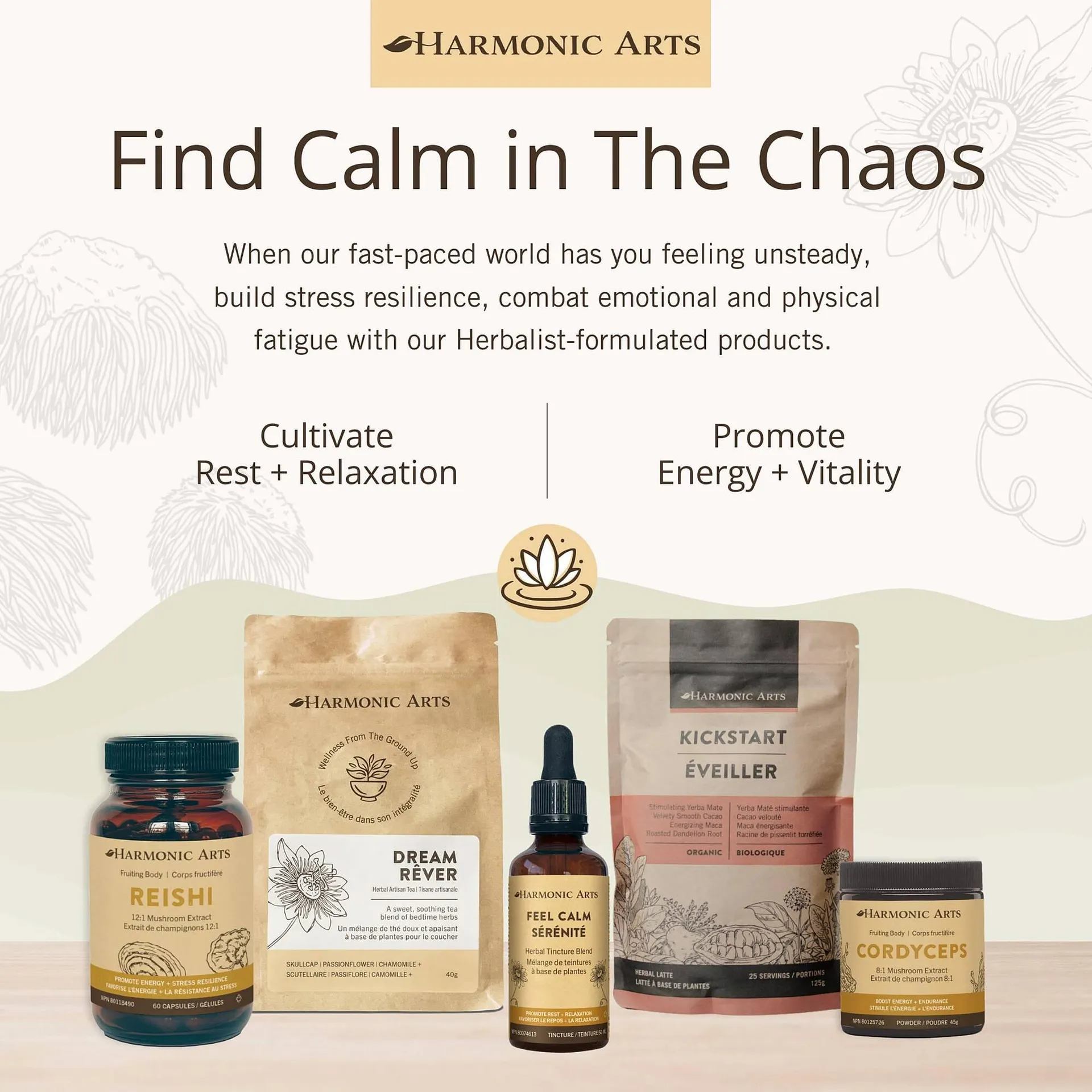 Goodness Me flyer from December 17 to January 6 2026 - flyer page 22