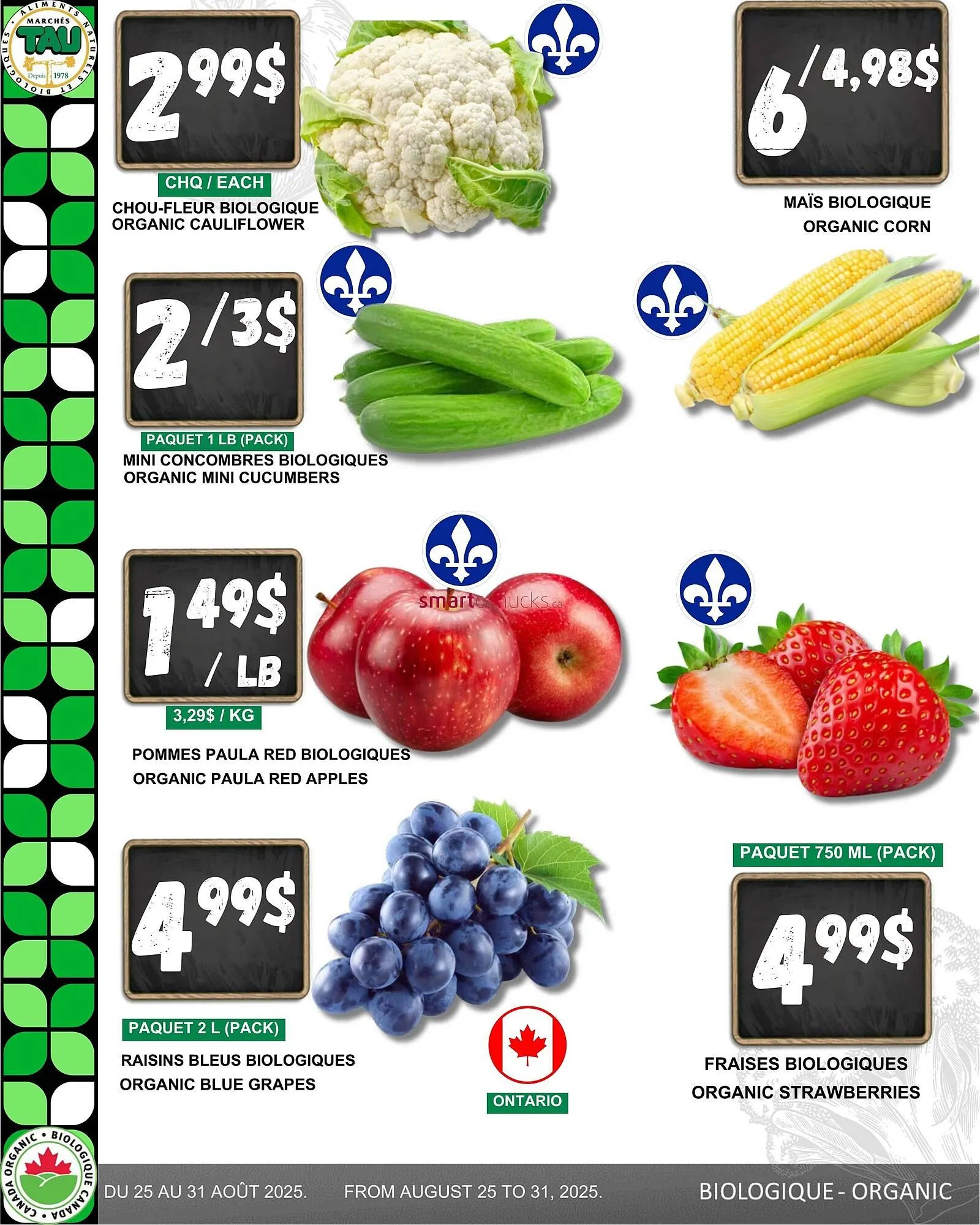 Marches Tau flyer - 1