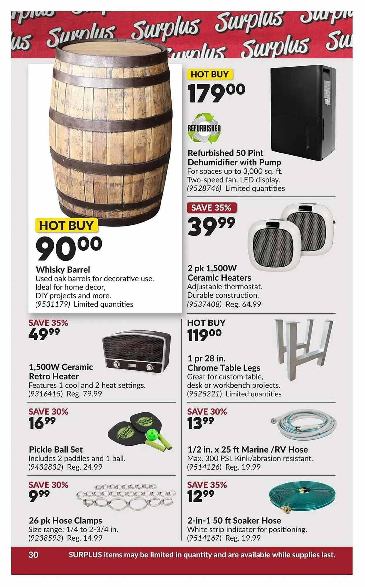 Princess Auto flyer from January 13 to January 26 2026 - flyer page 35