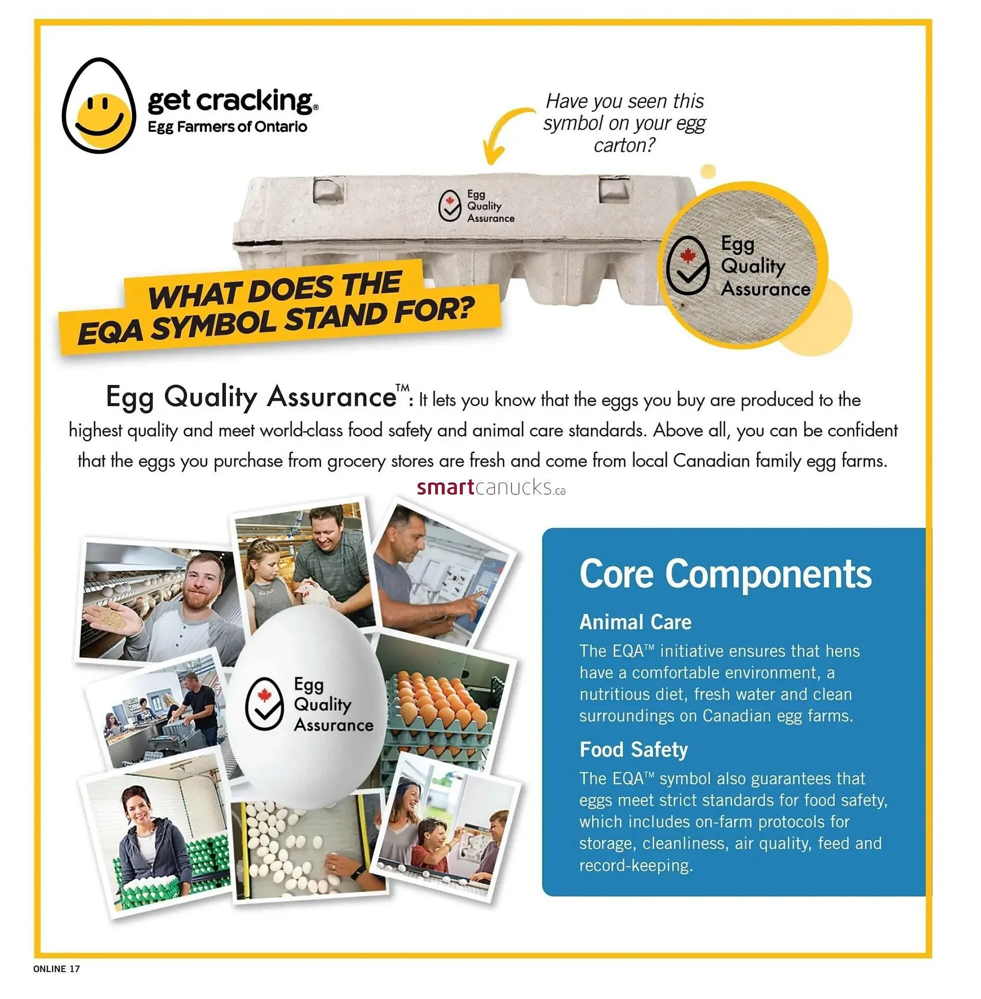 Fortinos flyer from August 8 to August 14 2024 - flyer page 20