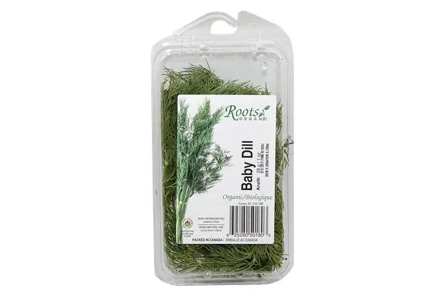 Herbs Baby Dill