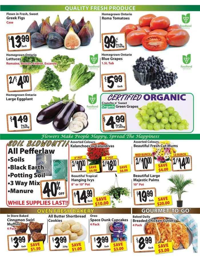 The Garden Basket from August 22 to September 5 2024 - flyer page 2