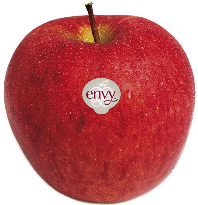 Envy Scilate Apples