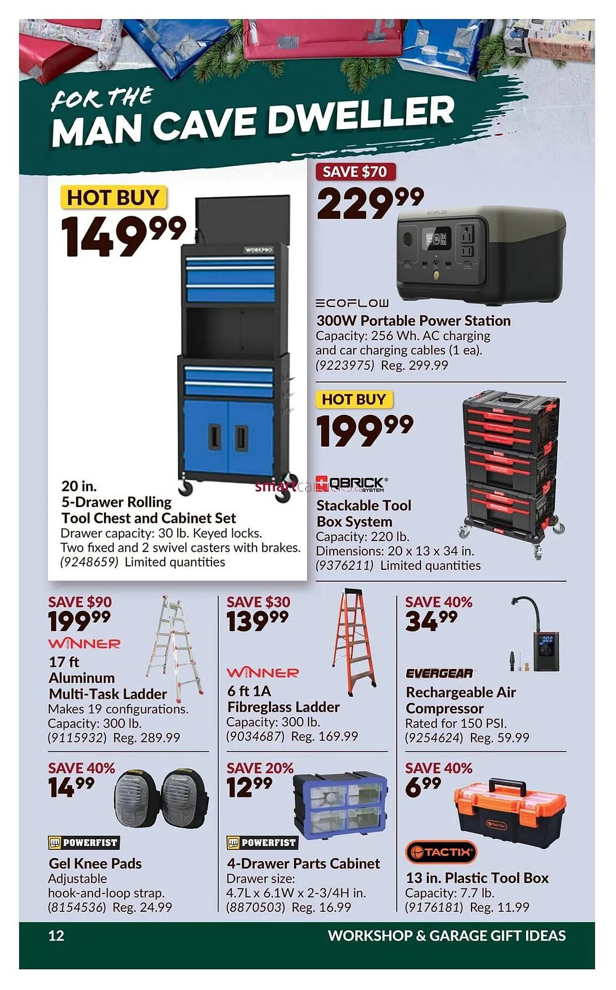 Princess Auto flyer from November 27 to December 2 2025 - flyer page 17