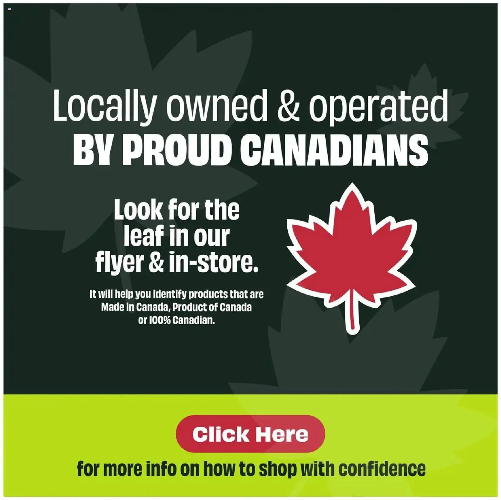 FreshCo flyer from April 10 to April 16 2025 - flyer page 13