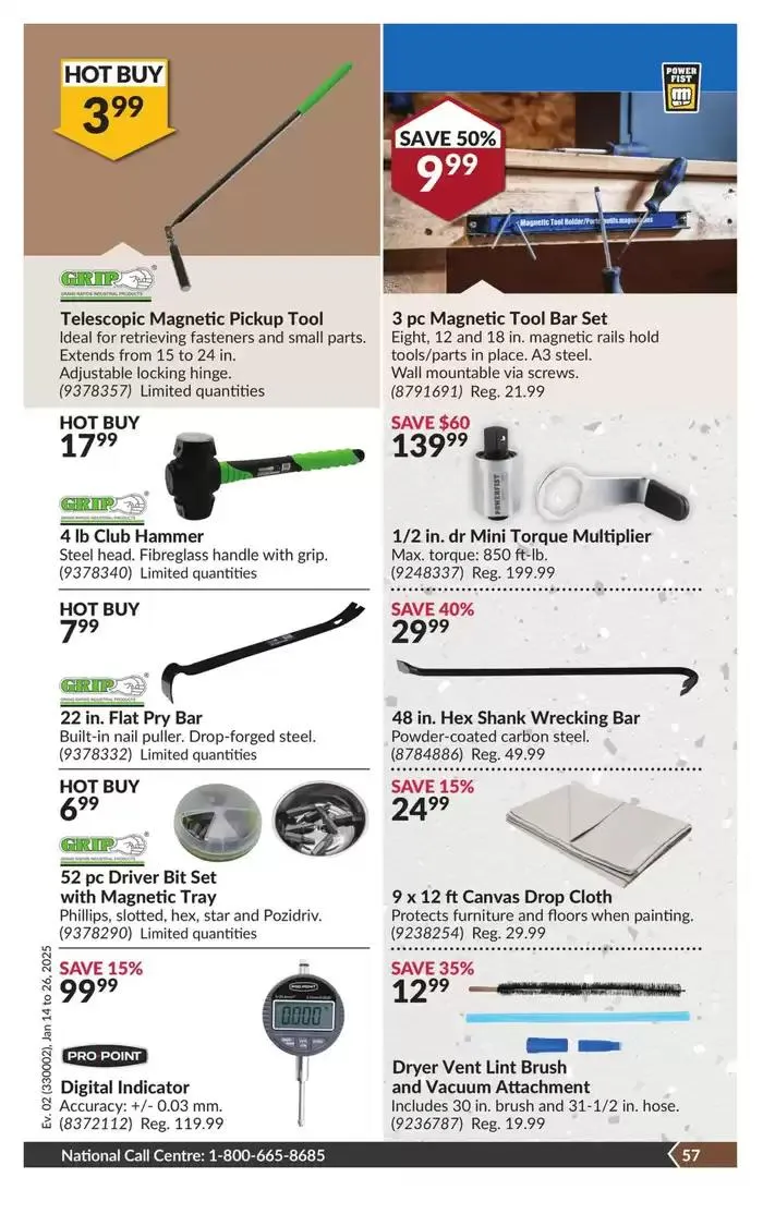 National Sale from January 14 to January 26 2025 - flyer page 62
