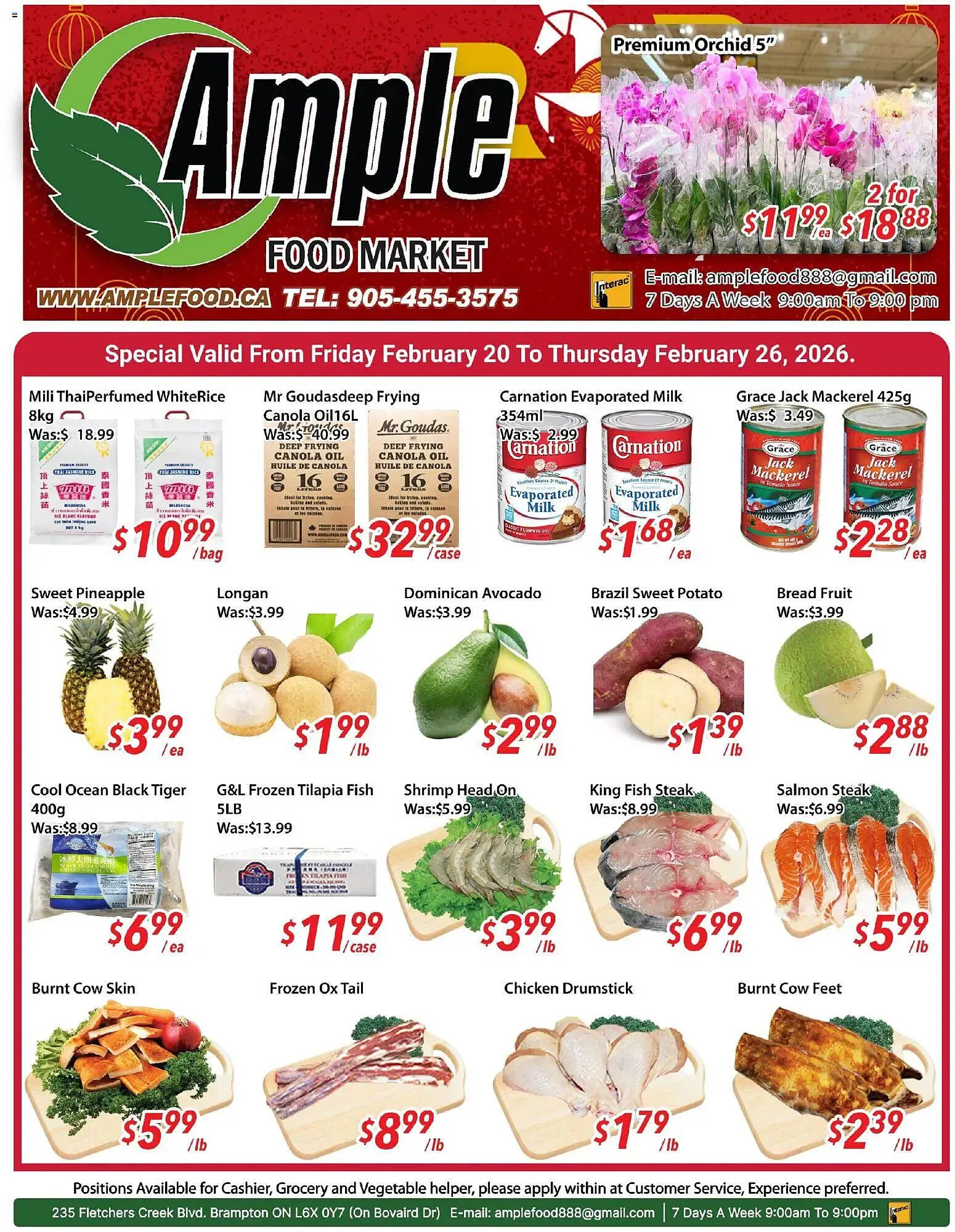 Ample Food Market flyer from February 20 to February 27 2026 - flyer page 1