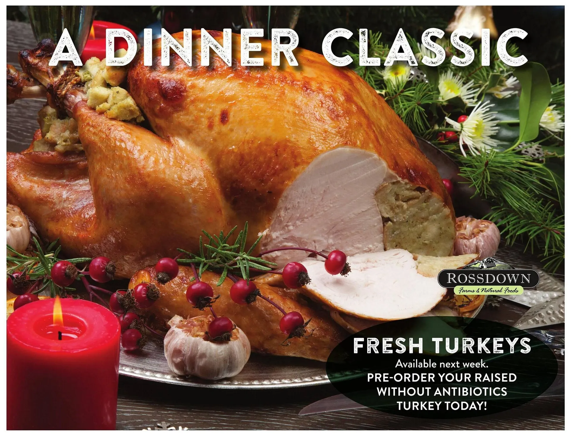 Nesters Market flyer from December 10 to December 16 2025 - flyer page 2