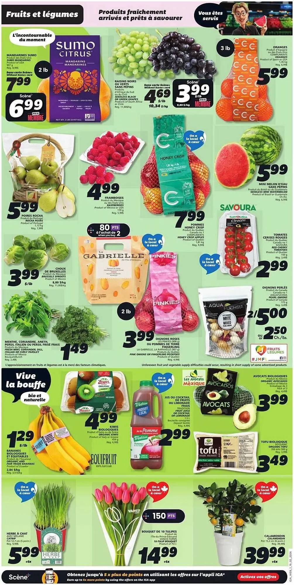 IGA flyer from February 19 to February 25 2026 - flyer page 3