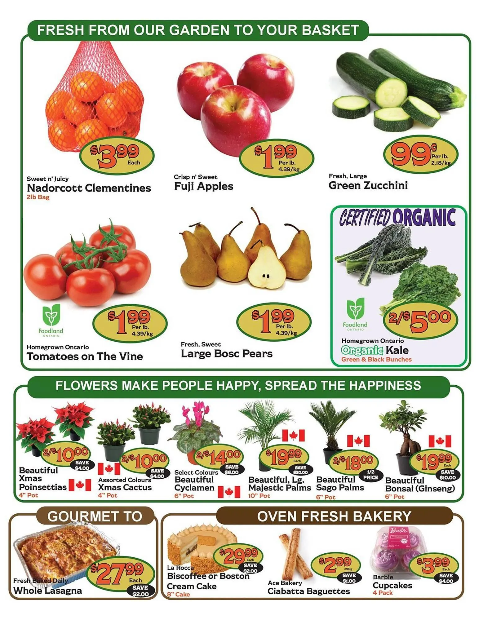 The Garden Basket flyer from November 13 to November 19 2025 - flyer page 2