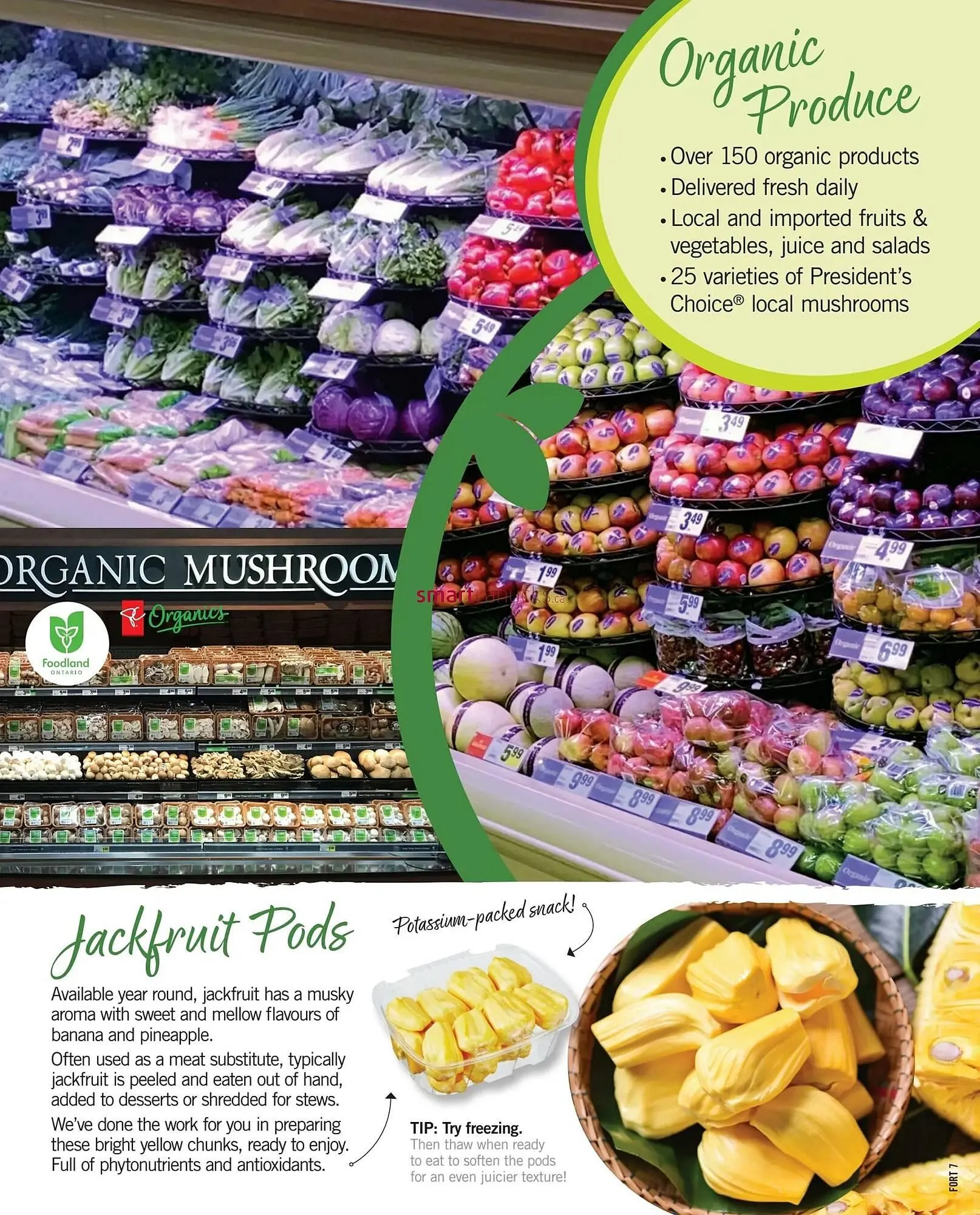 Fortinos flyer from August 29 to September 4 2024 - flyer page 15