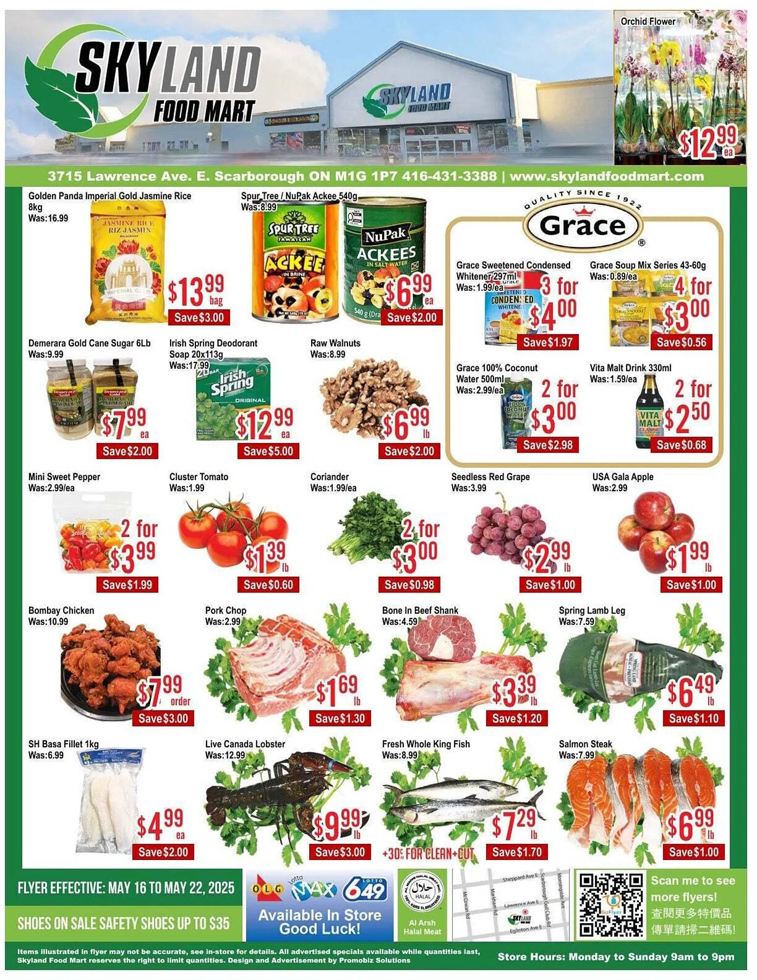 Skyland Foodmart flyer from May 16 to May 23 2025 - flyer page 1