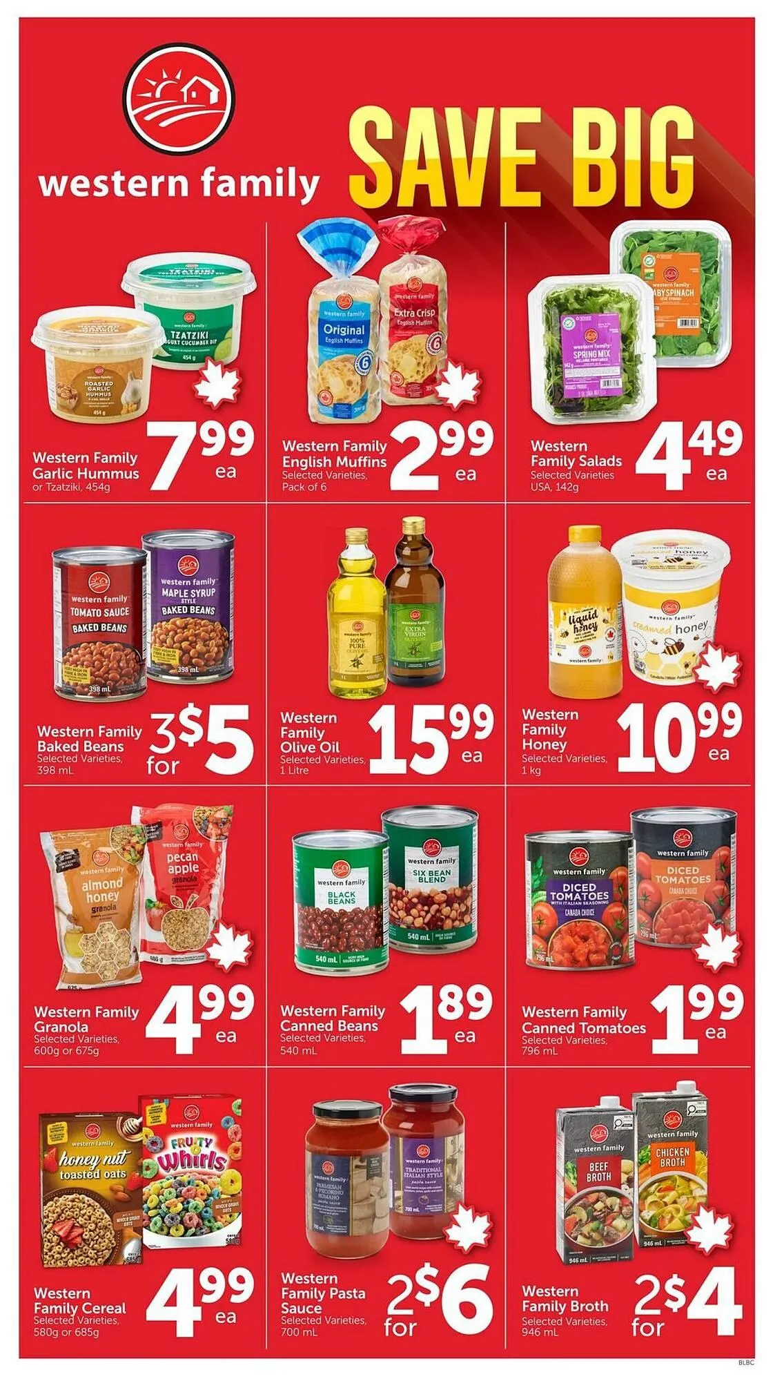 Buy-Low Foods flyer from November 6 to November 12 2025 - flyer page 3