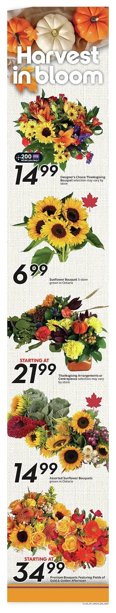 Sobeys flyer from October 9 to October 23 2025 - flyer page 3