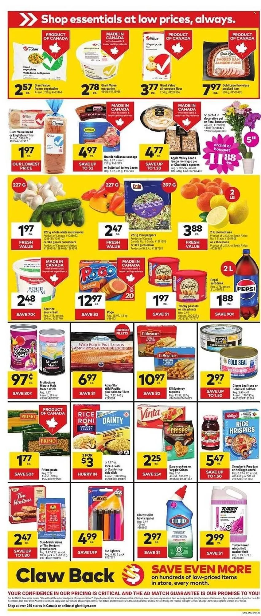 Giant Tiger flyer from May 7 to May 13 2025 - flyer page 2