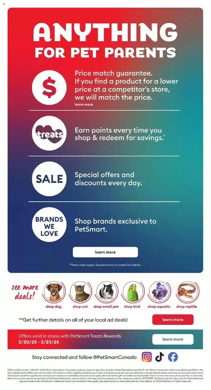 Top offers for all bargain hunters from March 20 to March 23 2025 - flyer page 3