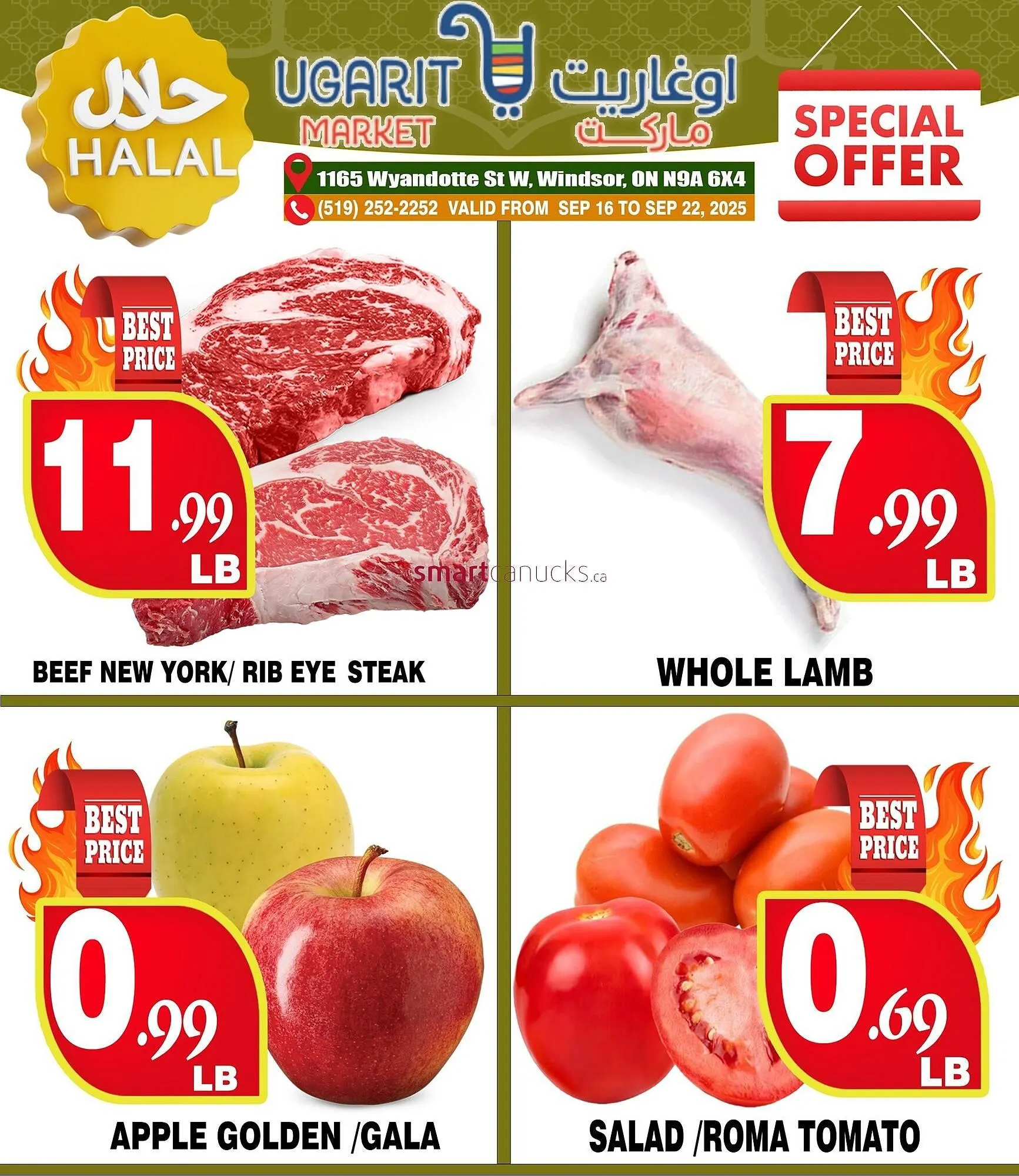 Ugarit Market flyer from September 14 to September 27 2025 - flyer page 1