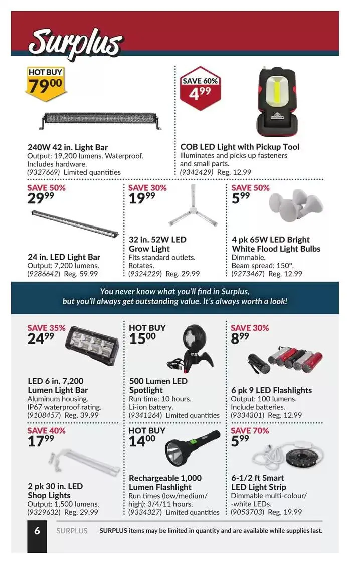 National Sale from January 14 to January 26 2025 - flyer page 11