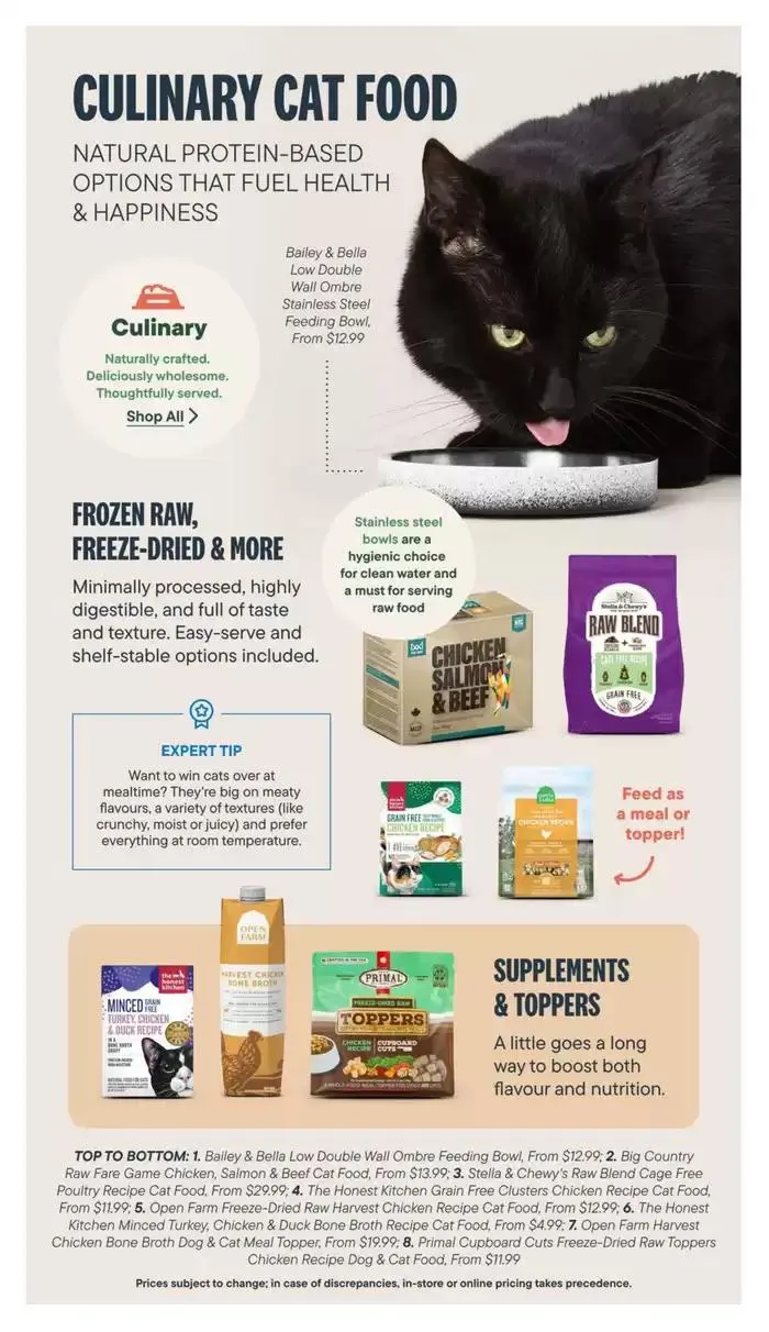 Devoted Cat Parent Guide from March 3 to March 31 2025 - flyer page 11