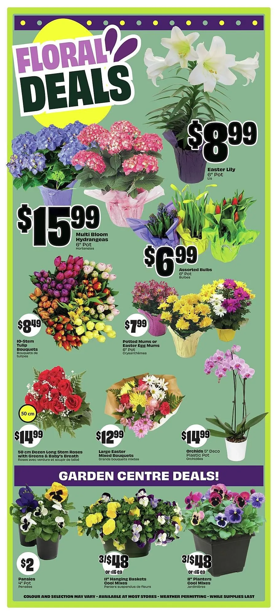 FreshCo flyer from April 11 to May 4 2025 - flyer page 6