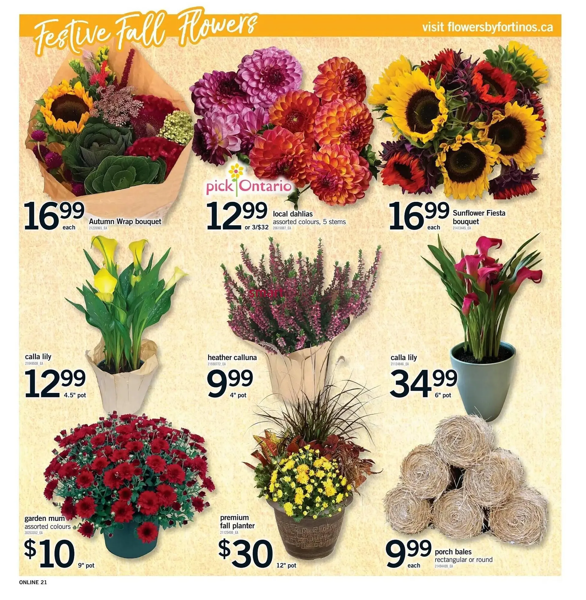 Fortinos flyer from September 19 to September 25 2024 - flyer page 20