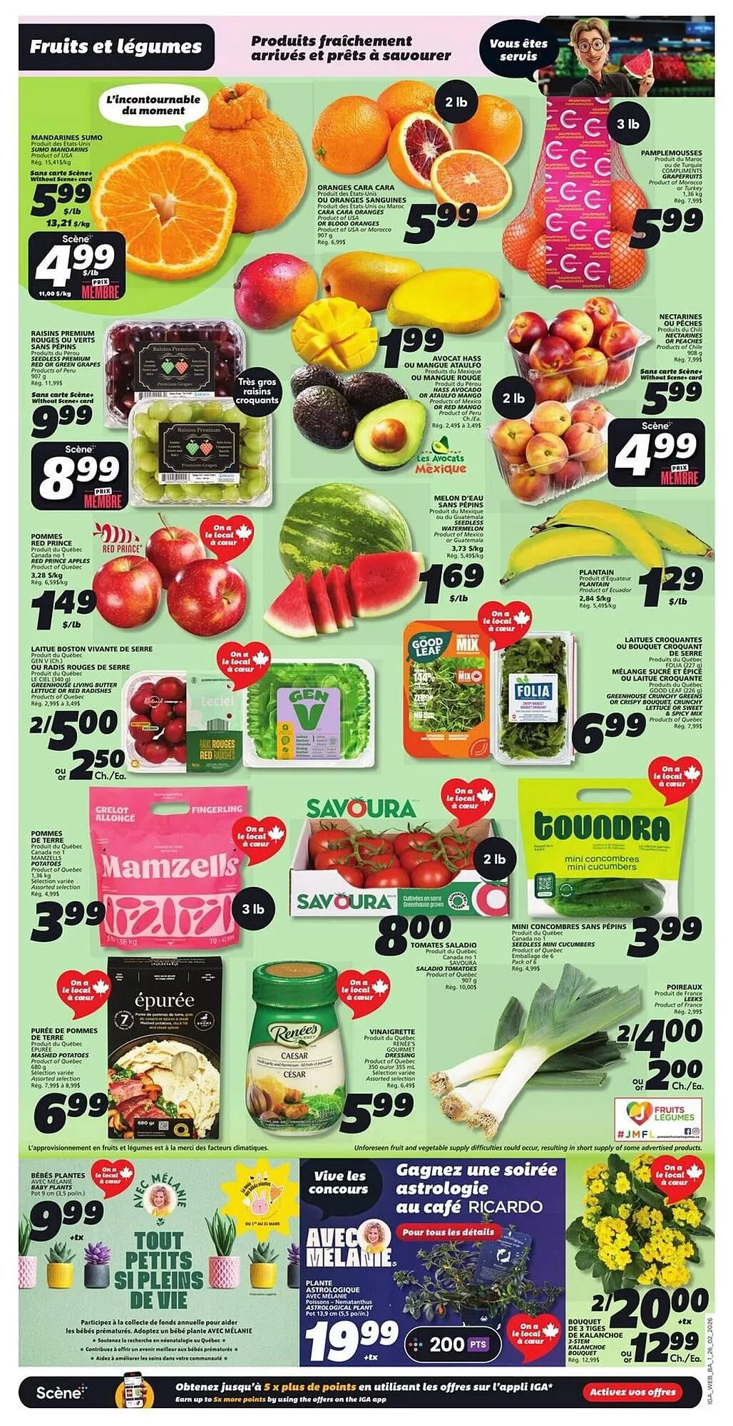 IGA flyer from February 26 to March 4 2026 - flyer page 3