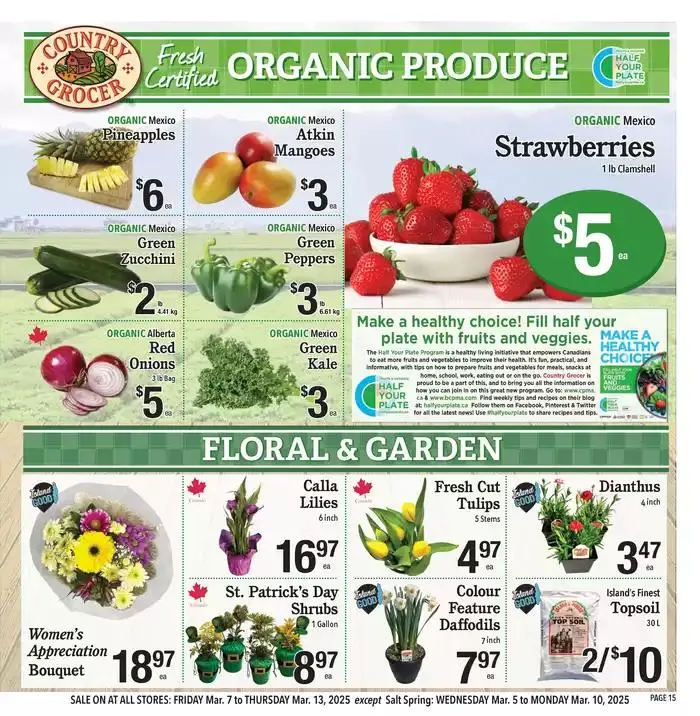 Discover attractive offers from March 7 to March 13 2025 - flyer page 15