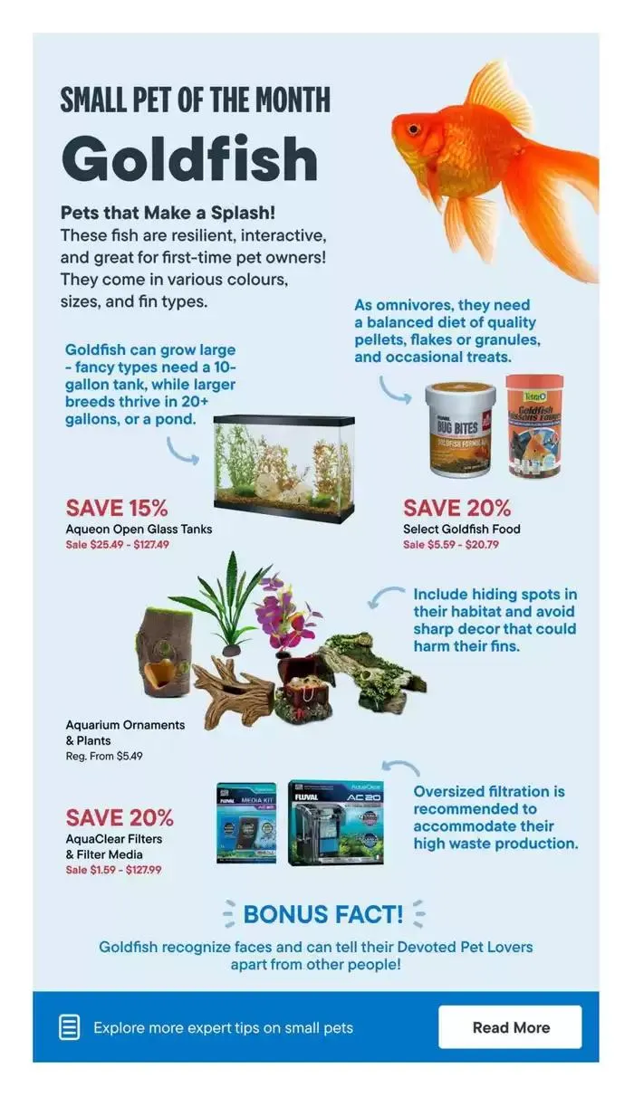 Spring into Savings from March 13 to April 2 2025 - flyer page 22